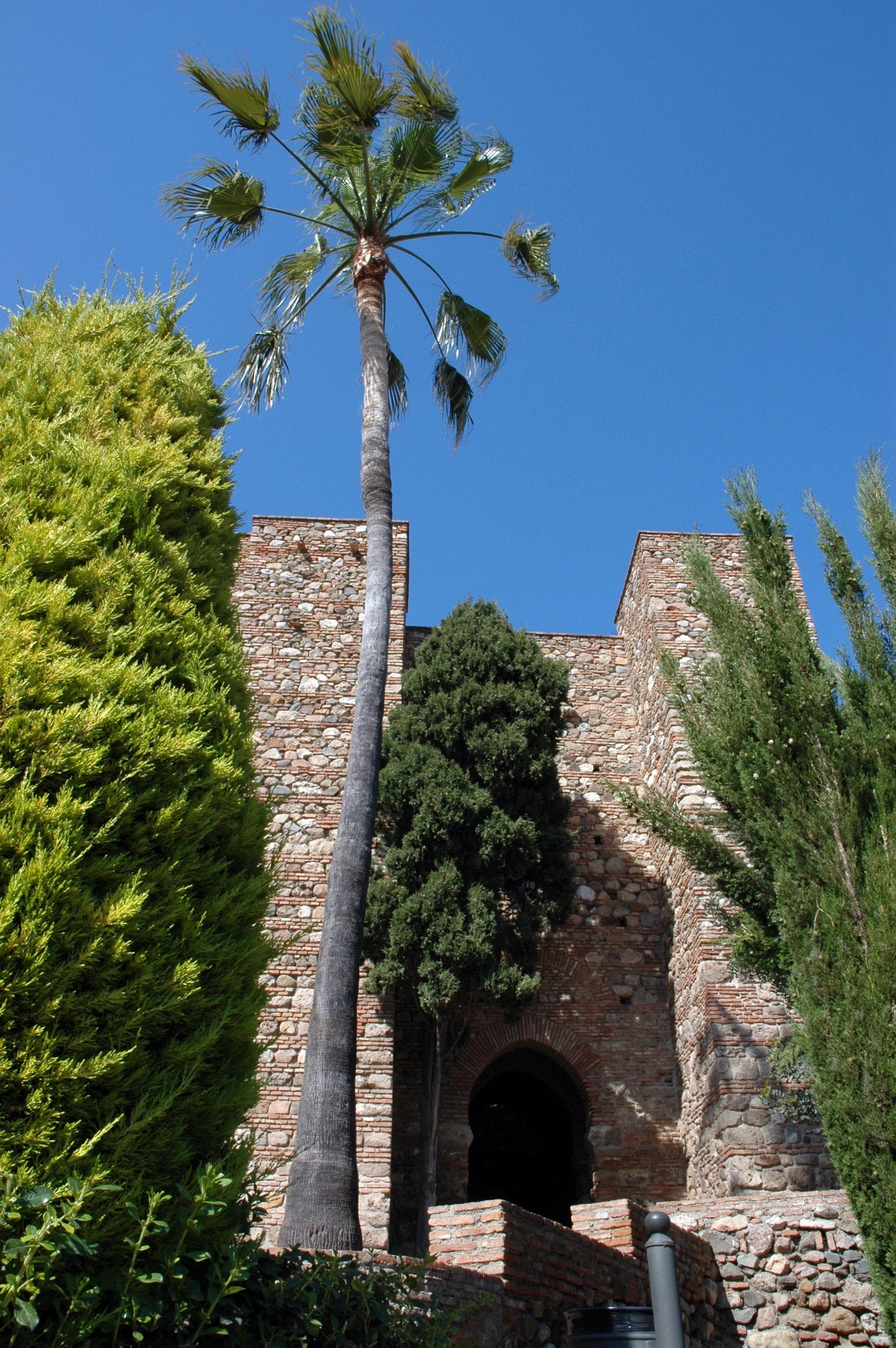 Free tour por Málaga