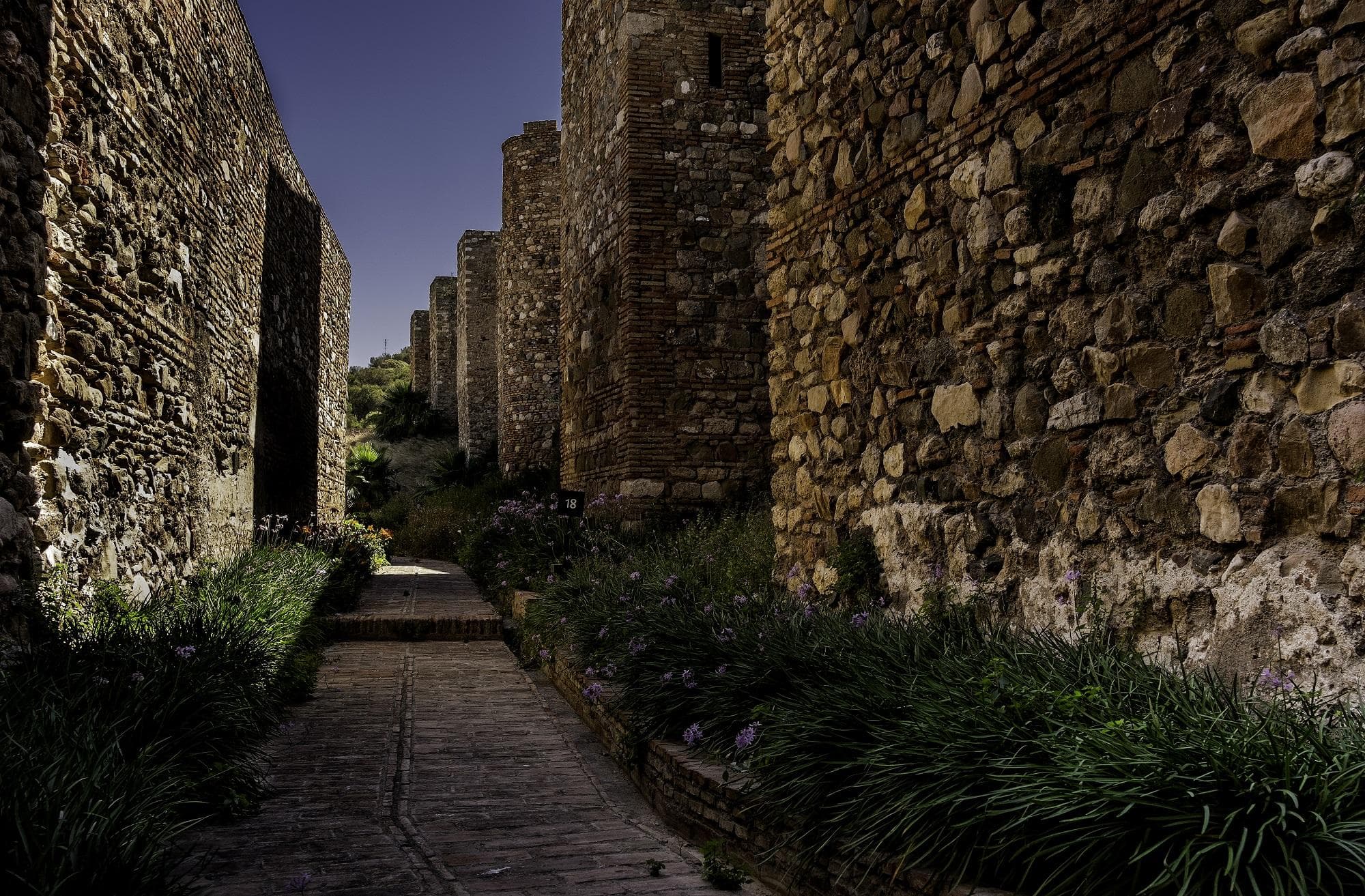 Visita guiada por la Alcazaba y el Teatro Romano