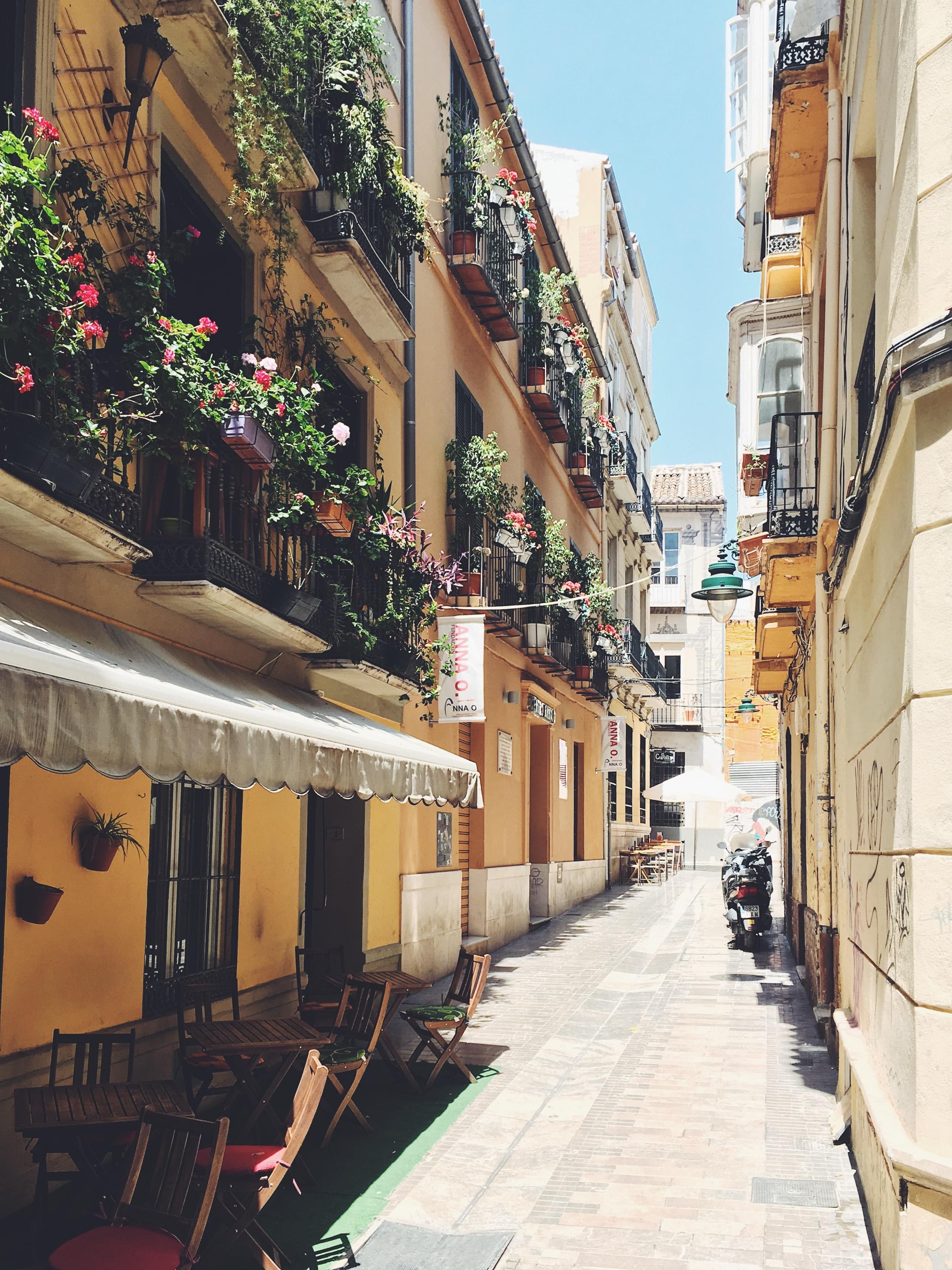 Free tour por Málaga